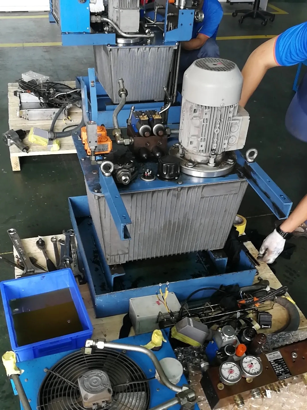 8.webp.jpg 8.webp.jpg